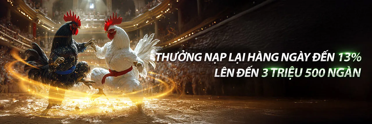 Đá Gà Trực Tuyến BJ388 Link Mới 2026